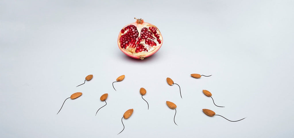 10 Fakten zur Kinderwunschmedizin, die Sie vielleicht noch nicht kannten