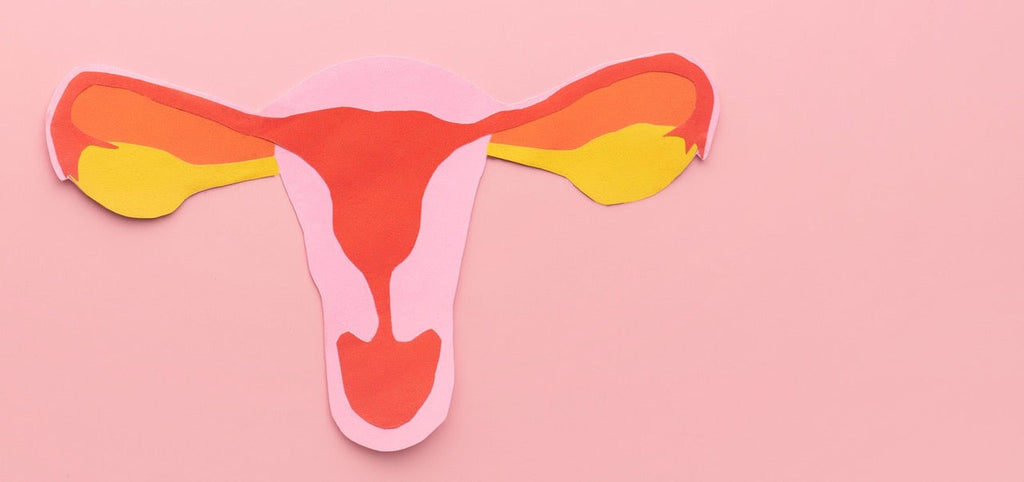 Eileiterschwangerschaft: Anzeichen, Ursachen, Risiken und Behandlung