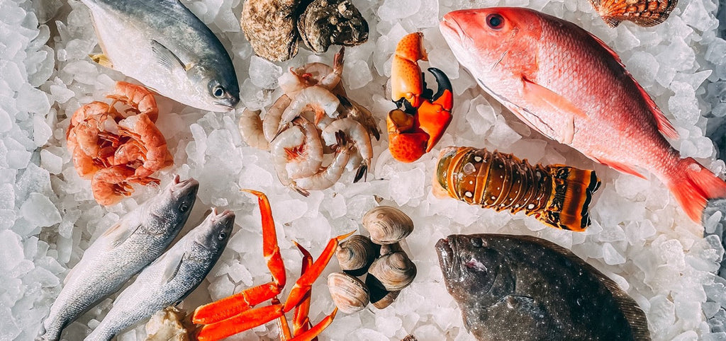 Empfehlung: Schwangere und stillende Frauen sollten mehr Fisch essen