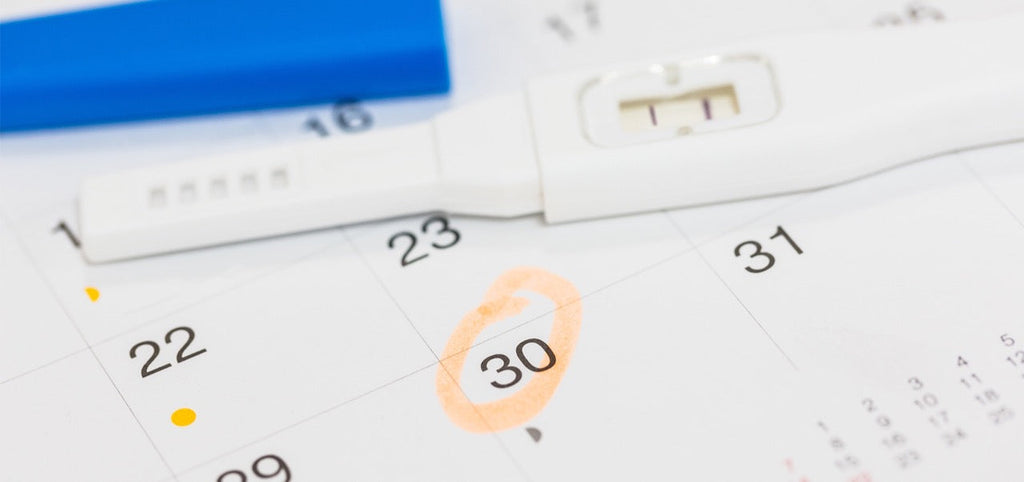 Der Ovulationstest: Funktionsweise, Anwendung und Ergebnisse