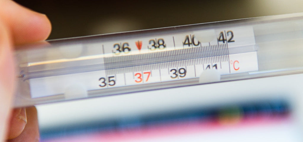 Basaltemperatur: Funktionsweise und Auswertung der Temperaturmethode