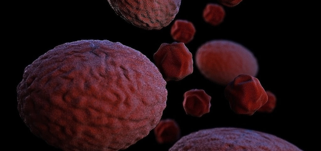 Chlamydien: Symptome, Diagnose, Behandlung und Auswirkung auf die Fruchtbarkeit