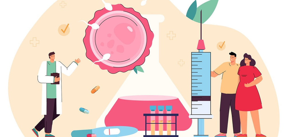 Zahlen und Erfolgsquoten künstlicher Befruchtung in Deutschland