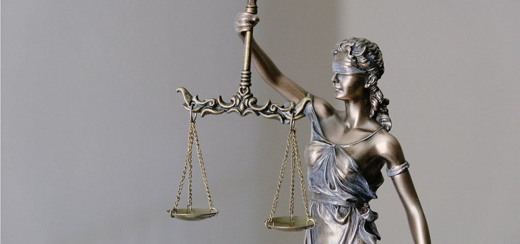 Das Embryonenschutzgesetz in Deutschland und der rechtliche Rahmen in Europa