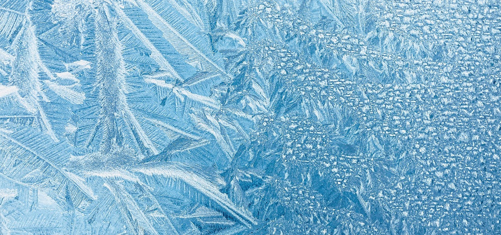 Social Freezing: Ablauf, Chancen, Kosten, Risiken