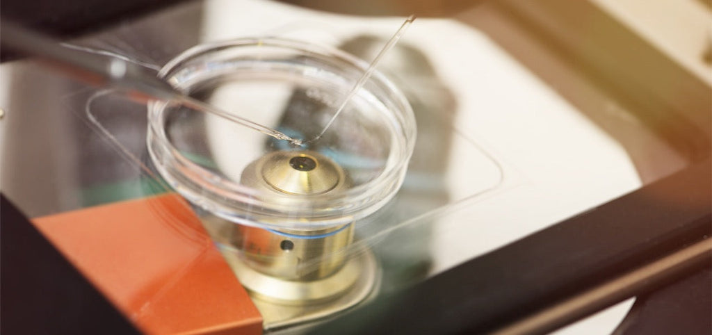 Künstliche Befruchtung: Ablauf und Methoden