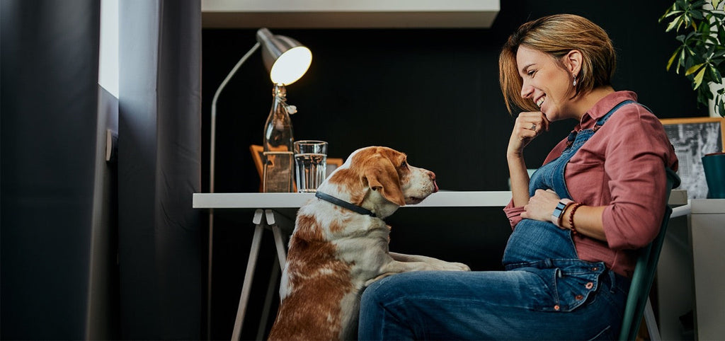 Schwangerschaft in den Wechseljahren?