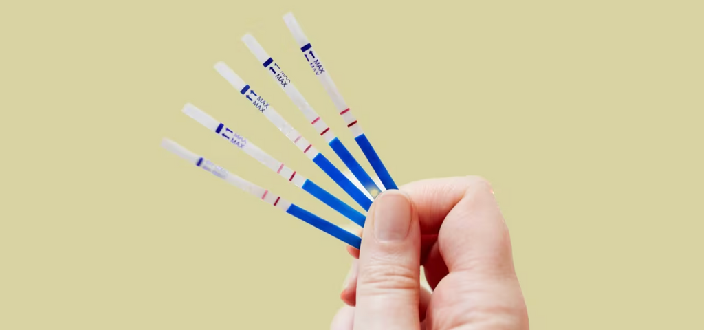 HCG: Das Schwangerschaftshormon