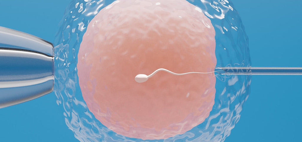 One+Step Fruchtbarkeitstest Sperma Test für Männer - Spermientest